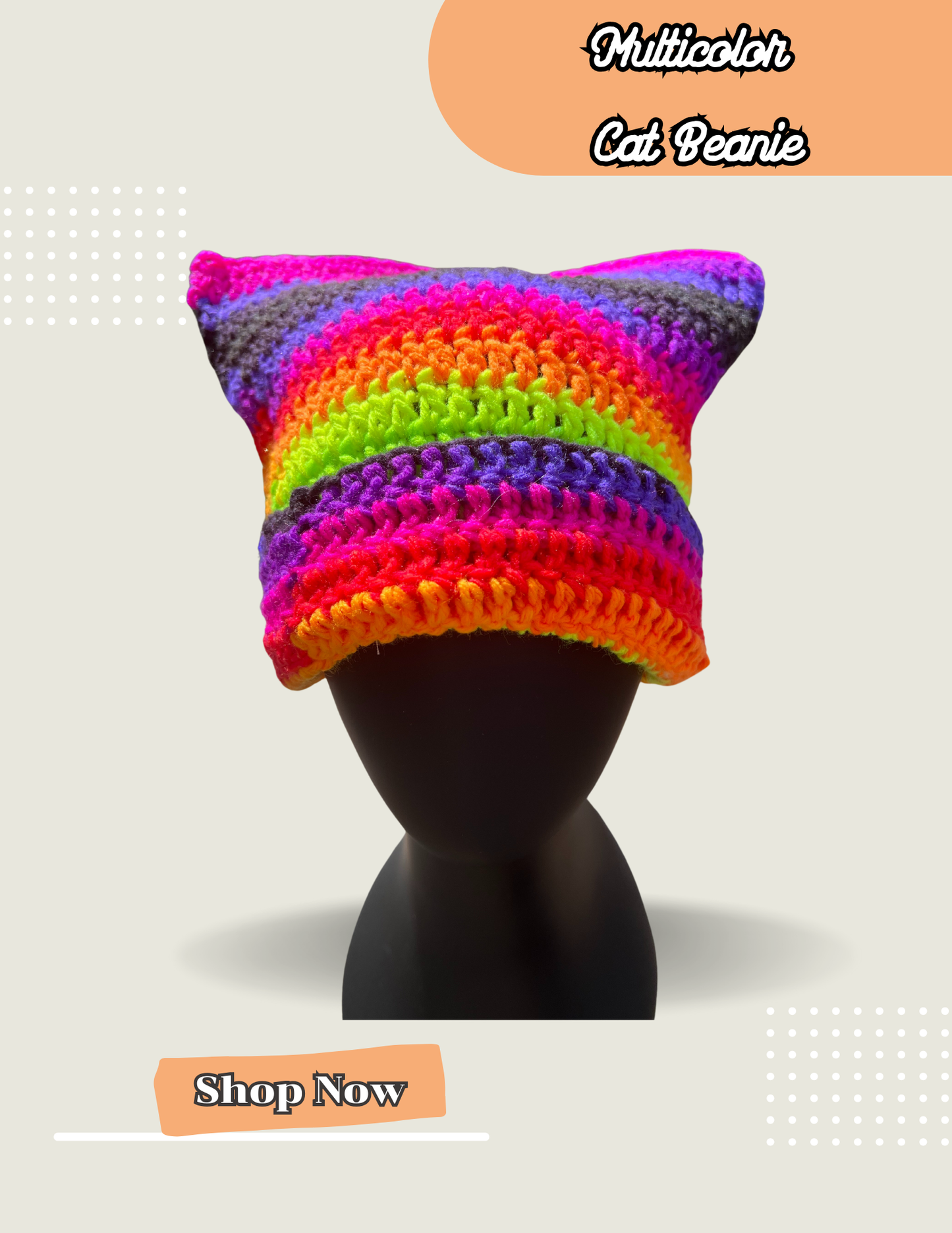 Multi-Color Cat Beanie